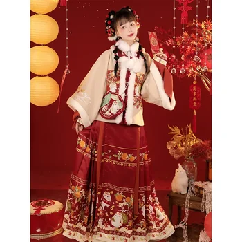 2 Цвята Комплект зимни дрехи Hanfu в традиционен Китайски стил на Династията Мин Утолщенное палто Класическа пола с Конете Муцуна Страхотна Дъждобран-наметало