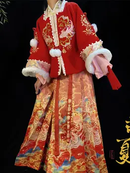 Женска пола с плюшени и дебелото бродерия във формата на конски муцуни в стил Мин Ханфу, китайски традиционни костюми, коледна облекло