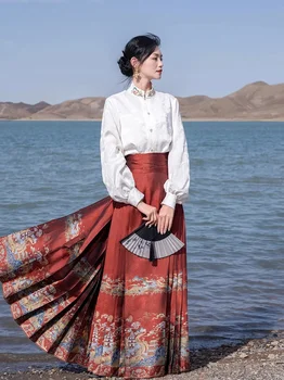 Новият пристигането на китайски традиционни рокли Hanfu Пола с конете муцуна Дамски реколта дрехи на династията Мин Плиссированная пола
